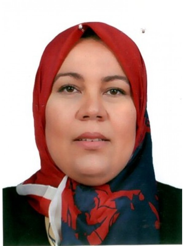 سميرة فتحي محمد البيرى