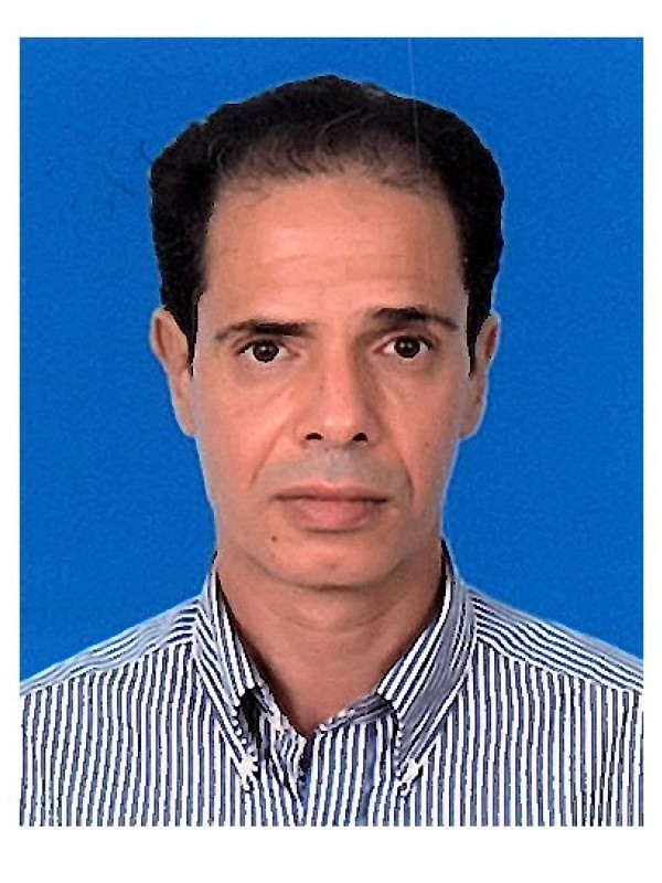 محمد محمد محمد زيتون 