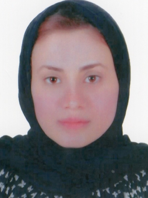 انوار رضا احمد الجندى