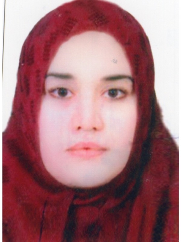 هنيدة حسين محمد غيث