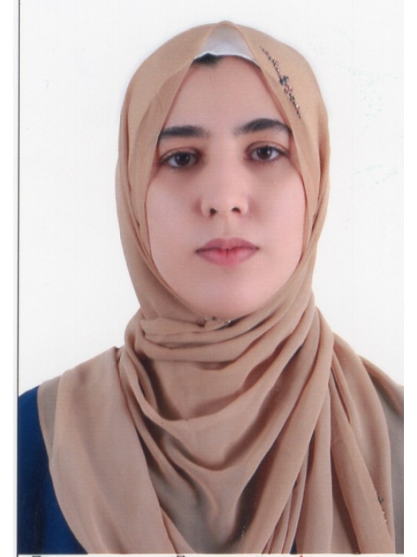 بلقيس ابوبكر محمد العربي