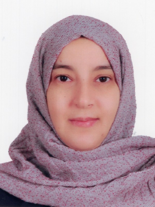 هدى محمد محمد انويجي