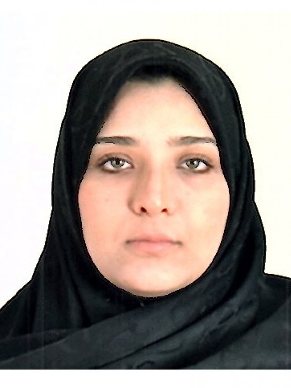 تويبه محمود حسن بن إنبيه