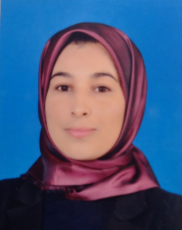 مروى ابوبكر محمد الشريف