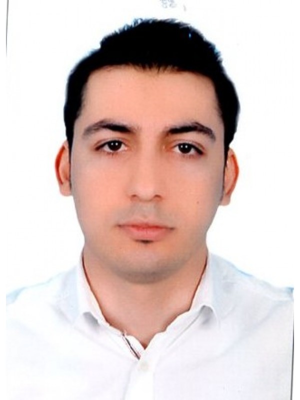 مصطفى على شعبان الجدى العاقل 