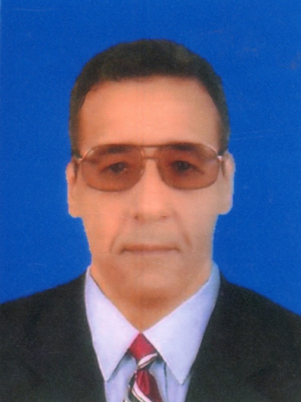 علي محمد المهدي الحويج