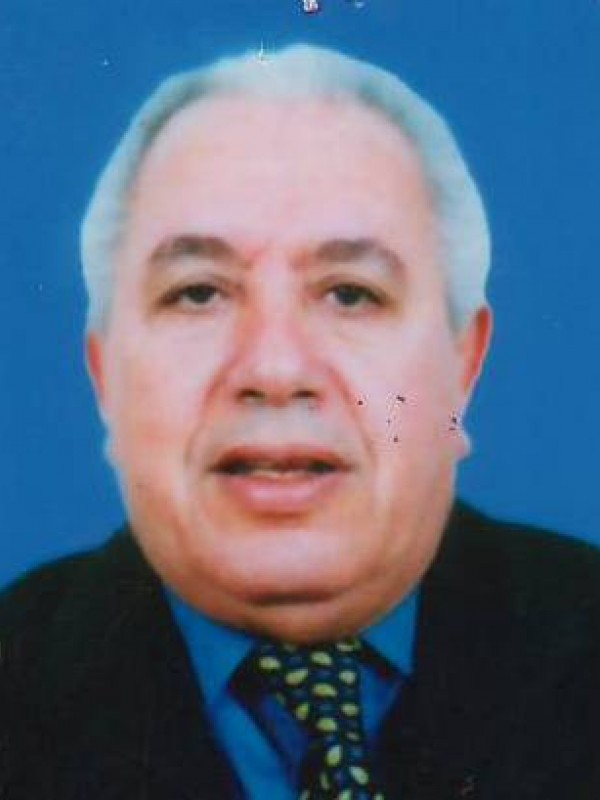 محمد منصور عبدالحفيظ الحارسي