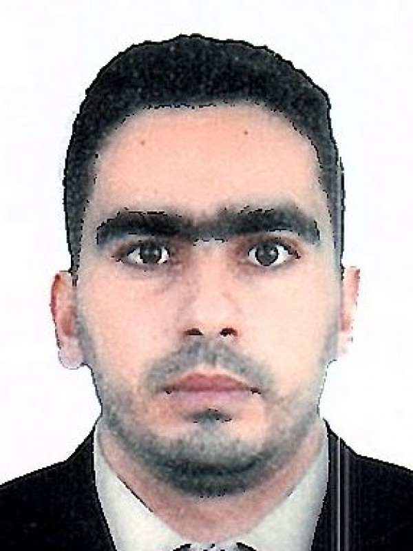 فتحى جمعة عمار المرغنى