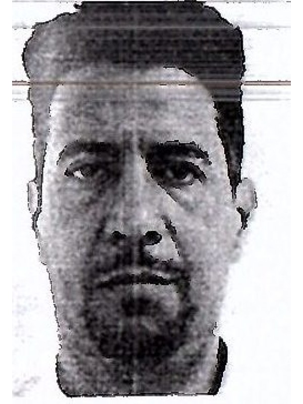 انور سليمان الشيباني ابوسريويل