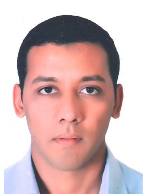 توفيق عامر انيس بشية