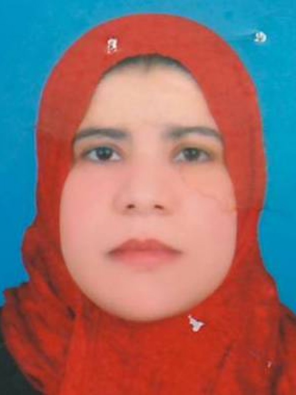 لبنة نجم الدين مصطفى الجعفري