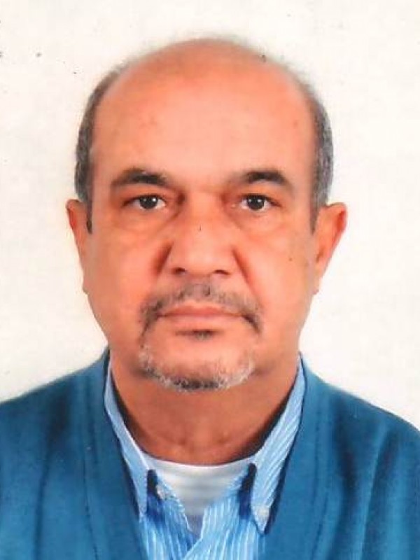 علي الهادي مفتاح بن عبدالله