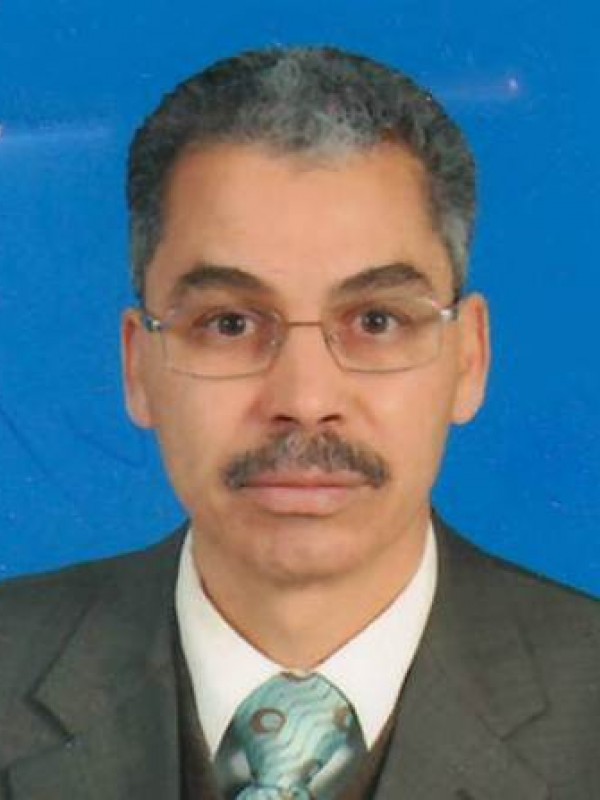 فوزى أحمد محمد عدالة