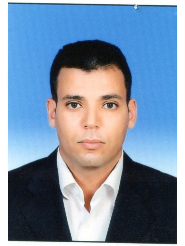 مجدى سالم محمد حسين