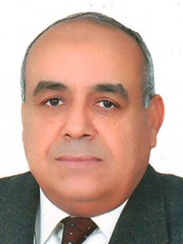 علي حدود حسن الزرقاني