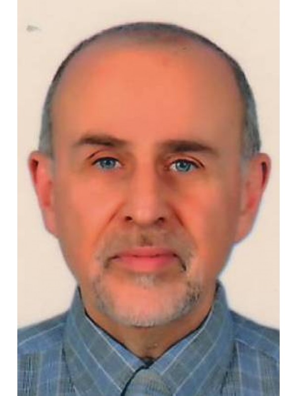 عبدالعزيز "محمود شوكت" محمد الخوجة