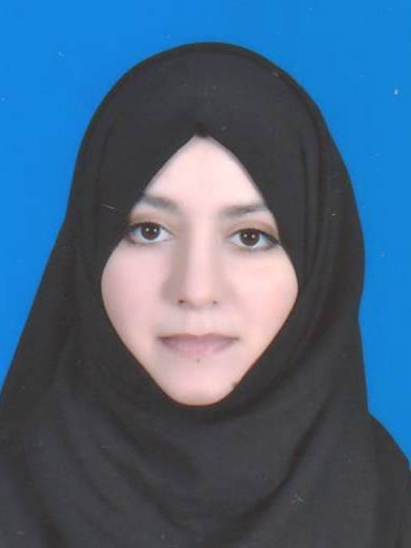 سندس حسين  الصيد الحاراتي