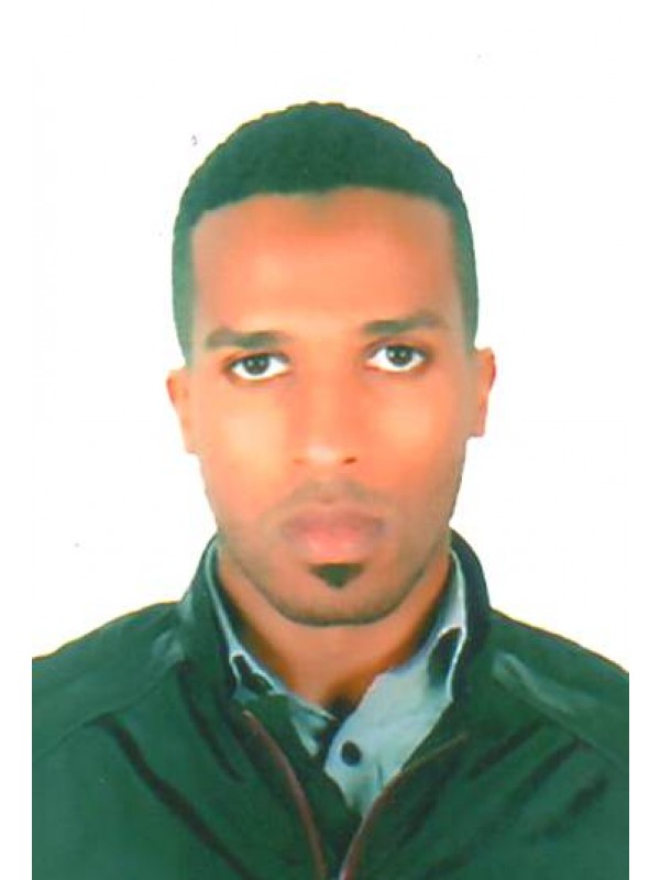 محمد بشير المبروك المريمي