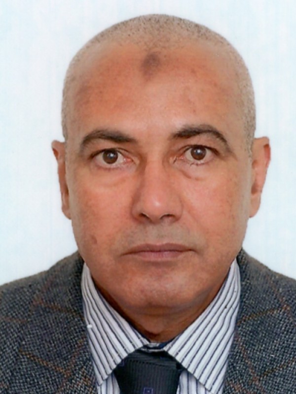 مختار محمد مختار الجمالي