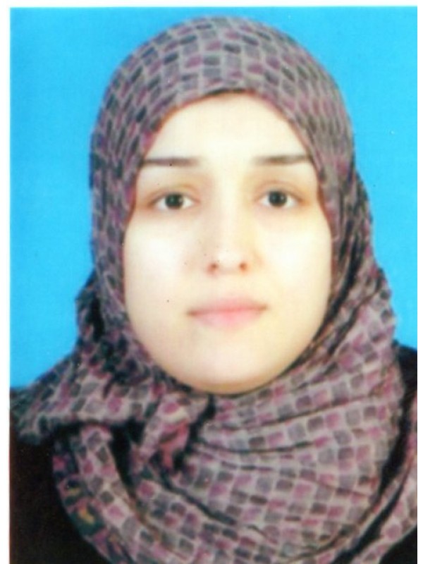 حور محمد إمحمد الصديق