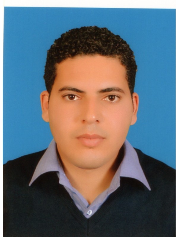 محمد عامر محمد سالم